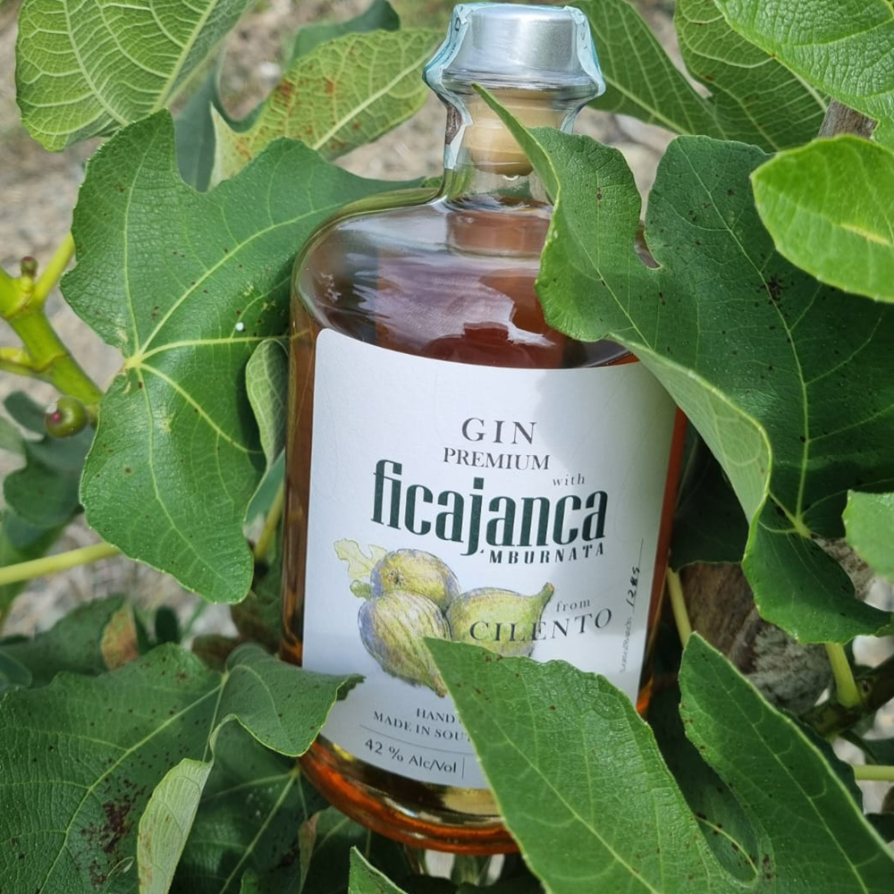 FICAJANCA NBURNATA premium gin 75ml